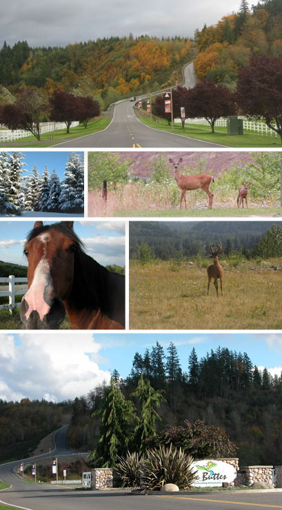 The Buttes composite